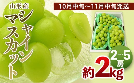 山形のシャインマスカット 秀品 約2kg(2～5房)[10月中旬～11中旬発送]【令和7年産先行予約】FS24-643