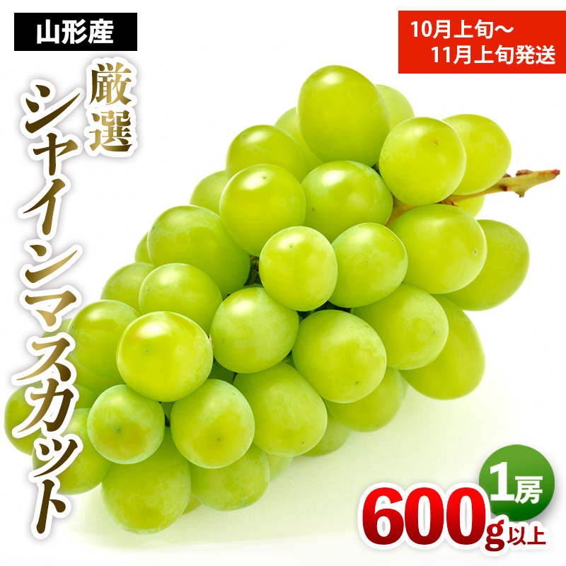 厳選シャインマスカット 秀品 600g以上 1房入 1箱 [後半] 【令和7年産先行予約】FS24-665