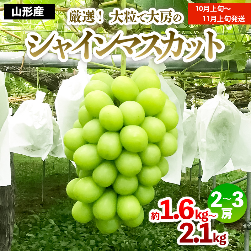 厳選！大粒で大房のシャインマスカット 秀品 2～3房入り（約1.6kg～2.1kg）[後半]【令和8年産先行予約】FS24-667