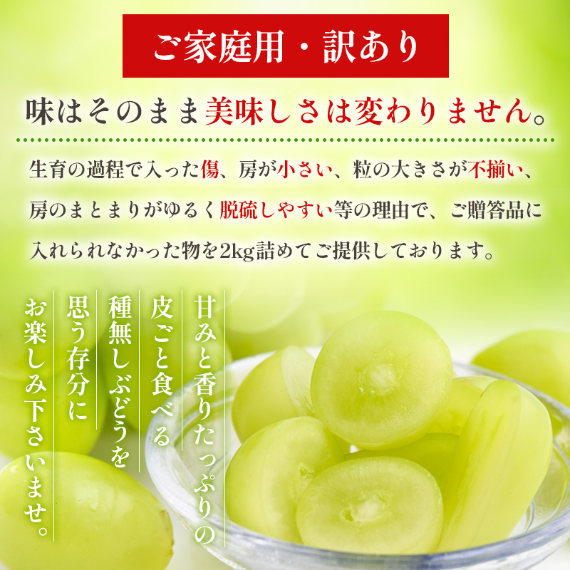 【ご家庭用】シャインマスカット 2kg入り 1箱 [後半]【令和8年産先行予約】FU21-632