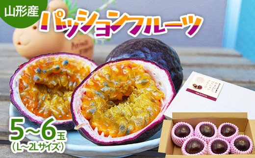 山形市産 パッションフルーツ 5～6玉(L～2Lサイズ) 【令和8年産先行予約】FU21-667