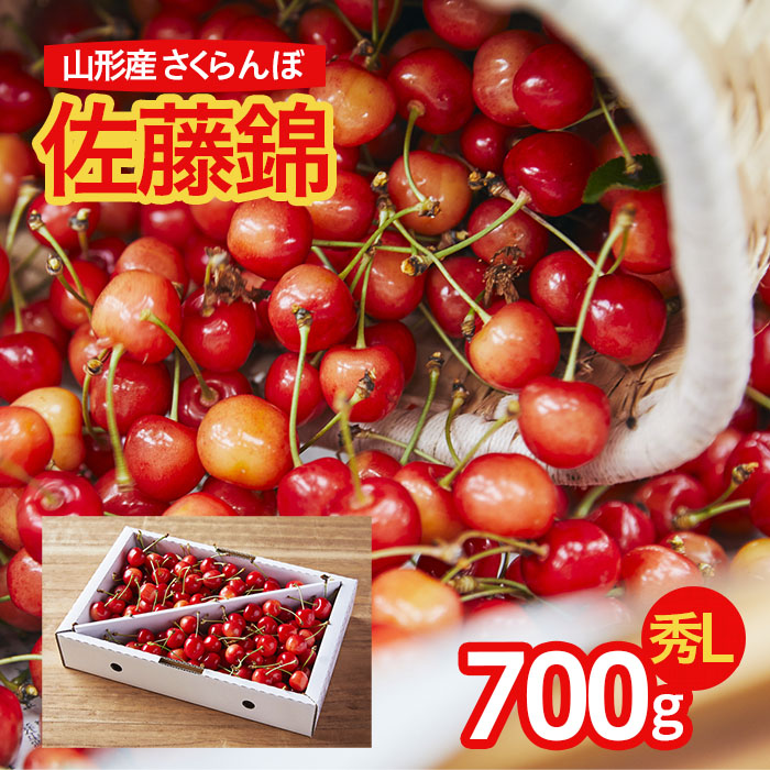 さくらんぼ！佐藤錦 農家オススメ！L玉 700g 【令和8年産先行予約】FS25-722