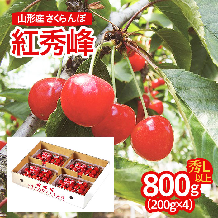 山形産 さくらんぼ(紅秀峰) L以上 800g(200g×4パック) 【令和7年産先行予約】FU22-715