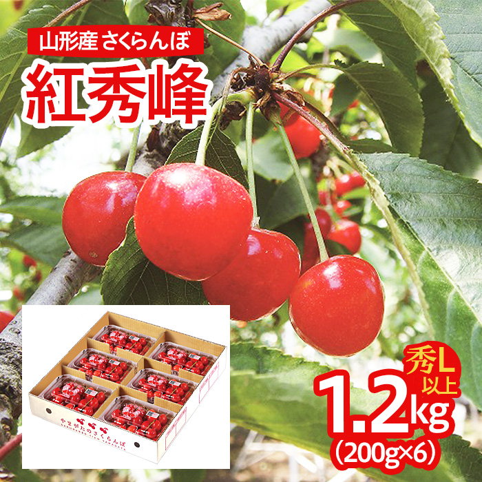 山形産 さくらんぼ(紅秀峰) L以上 1.2kg(200g×6パック) 【令和7年産先行予約】FU21-677