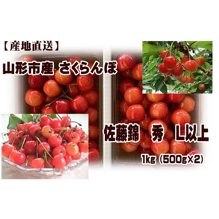 やっぱり 山形産 さくらんぼ 佐藤錦 L以上 1kg (500g×2)  【令和7年産先行予約】FU22-938