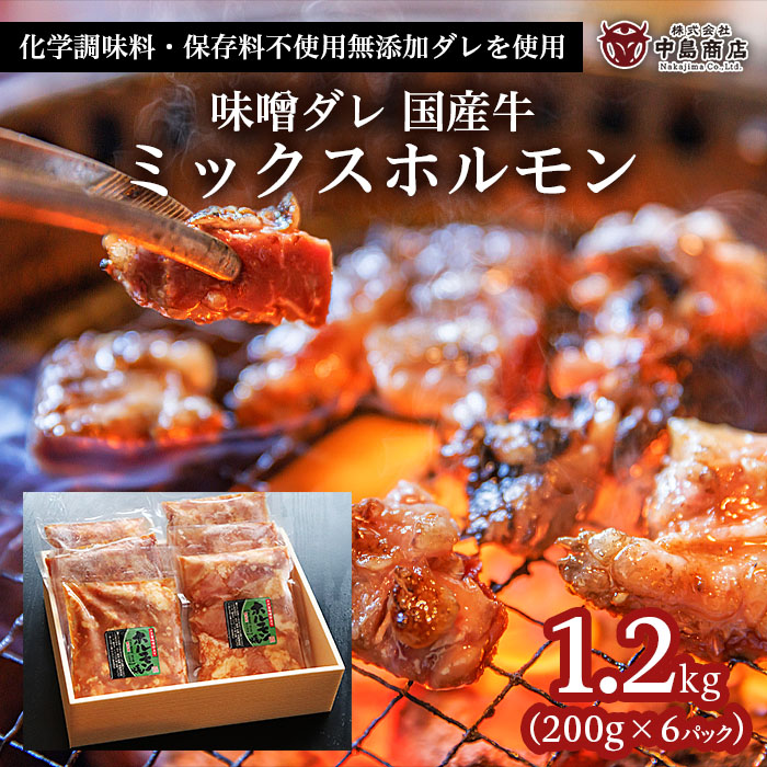 味噌ダレ 国産牛 ミックスホルモン 1.2kg(200g×6パック） FZ22-078