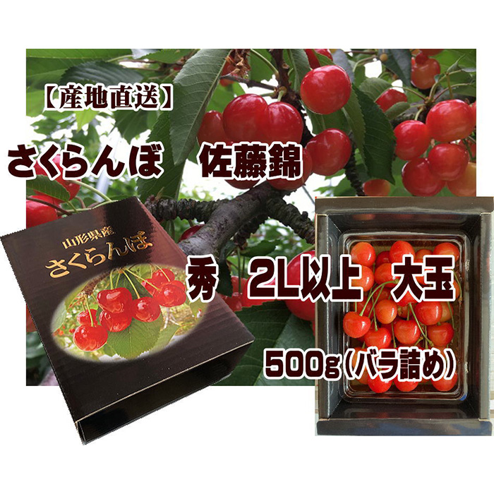 [産地直送] 大玉さくらんぼ 佐藤錦 2L以上 大玉 500g(バラ詰め) 【令和7年産先行予約】FU22-122