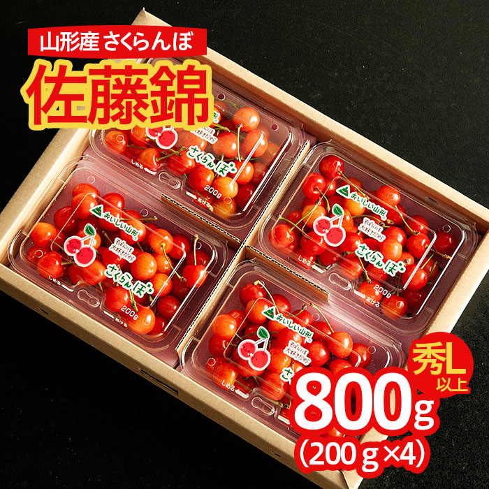 山形のさくらんぼ 佐藤錦 800g Lサイズ以上(200g×4パック) 【令和7年産先行予約】FS24-551