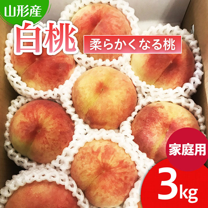  【ご家庭用】山形の桃(白桃) 3kg(6～12玉) 9月発送 (品種おまかせ)[柔らかくなる桃] 【令和7年産先行予約】FU22-782