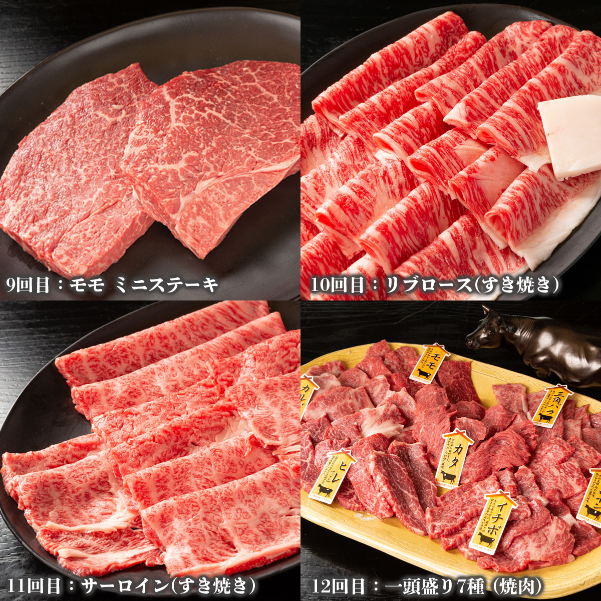 【定期便12回】ブランド和牛を堪能！！山形牛毎月お届け定期便 FY20-776