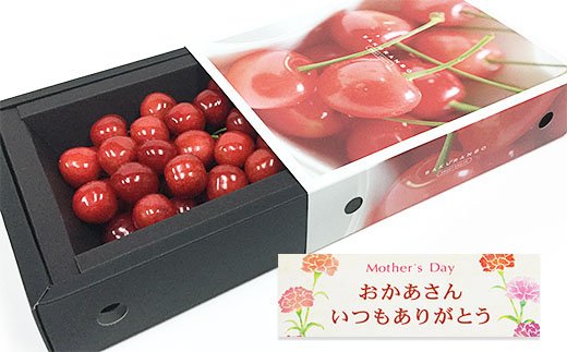 ★5月まるごと母の日★さくらんぼ 佐藤錦 スリーヴ Lサイズ 300g (5/15～発送)【令和8年産先行予約】 FS24-677