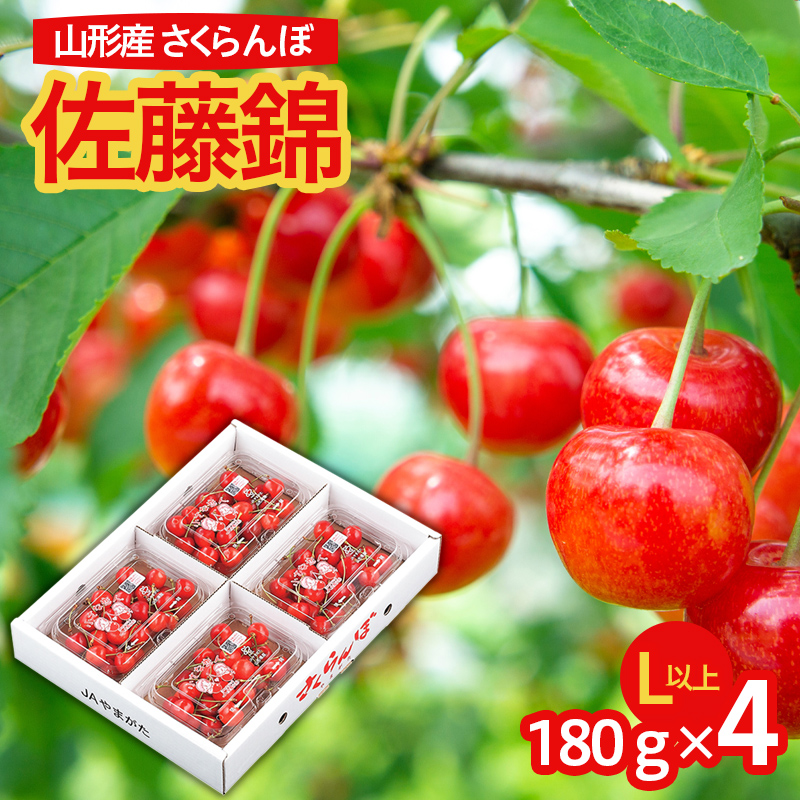 山形市産 さくらんぼ 佐藤錦 L以上 720g(180g×4パック) バラ詰め 【令和8年産先行予約】FS25-582