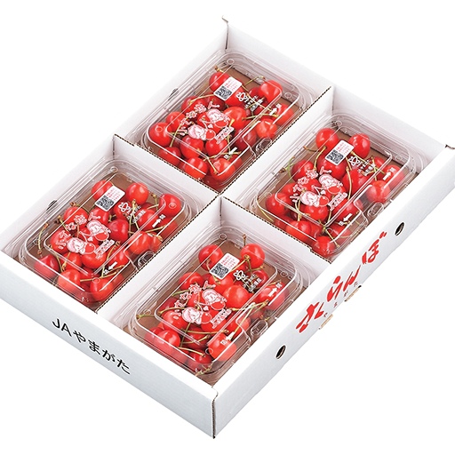 山形市産 さくらんぼ 佐藤錦 L以上 720g(180g×4パック) バラ詰め 【令和8年産先行予約】FS25-582