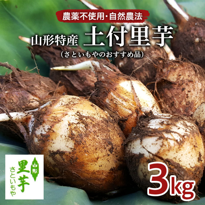 農薬不使用 自然農法 山形特産 土付里芋 3kg!(さといもやのおすすめ品) FZ23-134