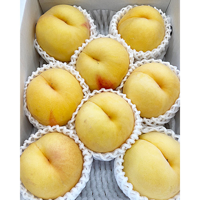  数量限定！マーブル桃「あかつき姫」(有袋・無袋) 秀品 約2kg [柔らかくなる桃]【令和8年産先行予約】FU22-209