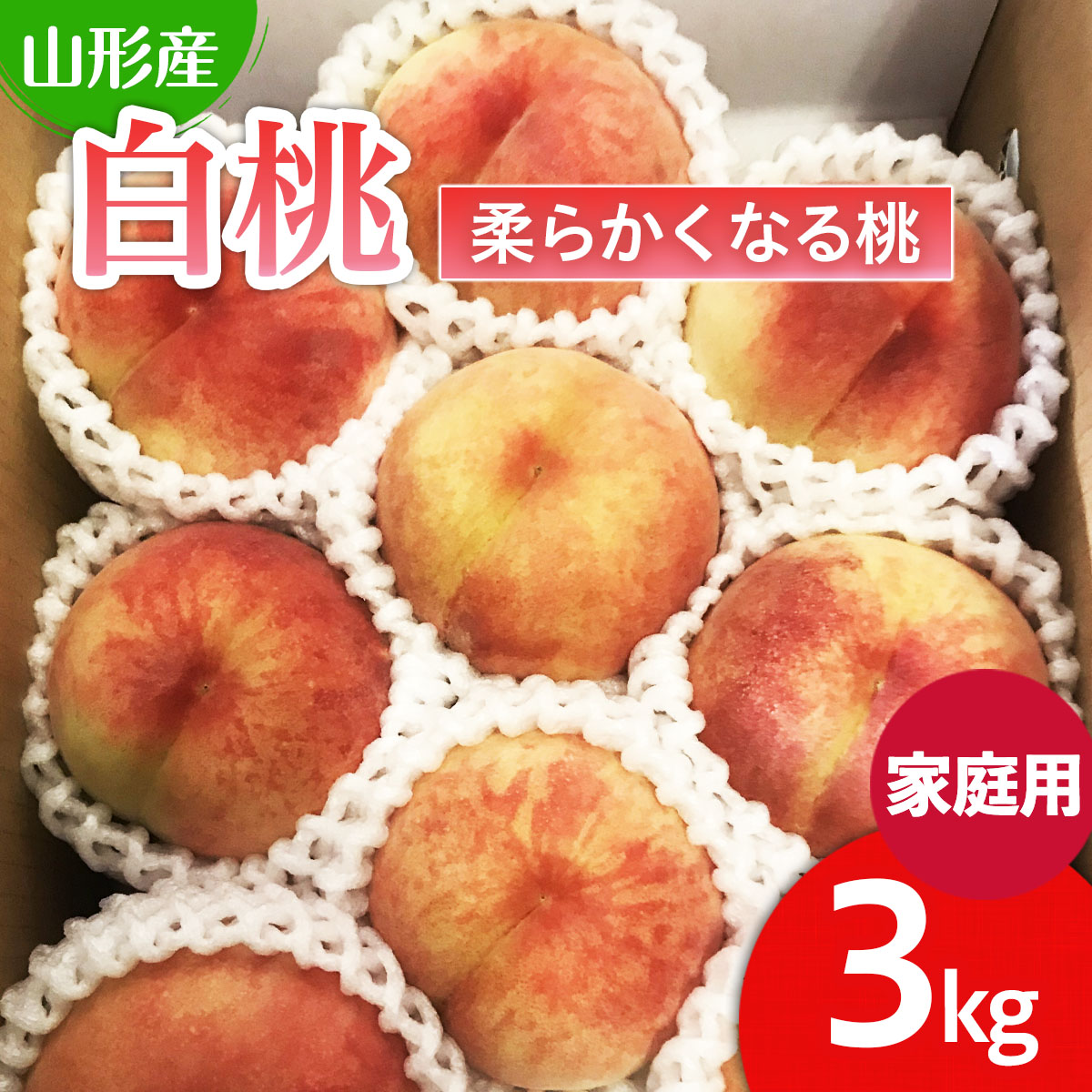  【ご家庭用】山形の桃(白桃) 3kg(6～12玉) 8月発送 (品種おまかせ)[柔らかくなる桃] 【令和7年産先行予約】FU22-785