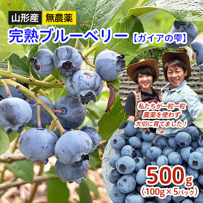 山形産 無農薬 完熟ブルーベリー【ガイアの雫】500g(100g×5パック) 【令和7年産先行予約】FS24-500