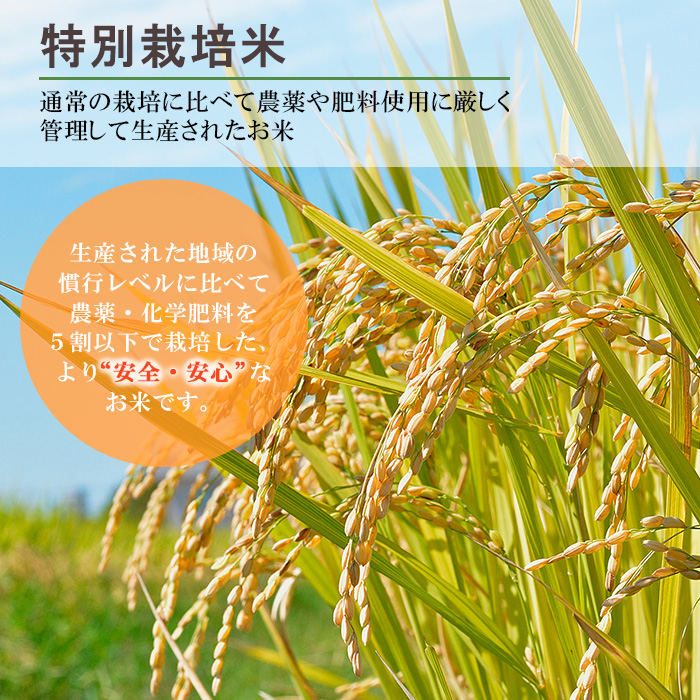 FY22-351 【期間・数量限定】令和3年産 山形県産 【無洗米】 特別栽培米 つや姫 5kg |JALふるさと納税|JALのマイルがたまるふるさと納税サイト