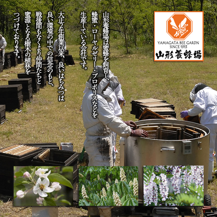 【純粋蜂蜜】 混花蜜 2400g FZ23-100