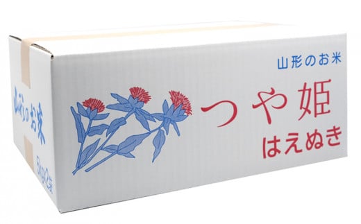 【無洗米】山形産 はえぬき (5kg×2)計10kg FZ22-898