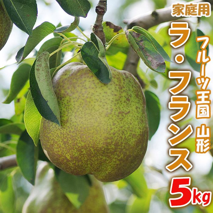 ☆フルーツ王国山形☆【家庭用】ラ・フランス 5kg FZ26-805