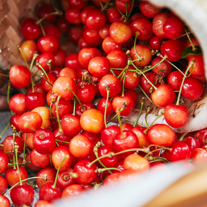 【定期便3回】やまもりやまがたの定期便～山形の人気果物トップ3～ 【令和8年産先行予約】FS25-598