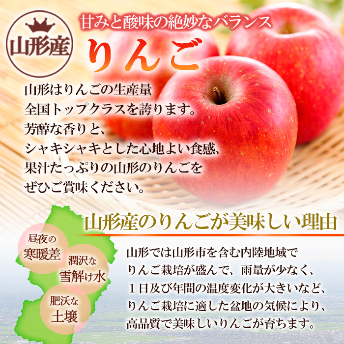 【定期便2回】やまもりやまがたの秋冬定期便～もも・りんご～ 【令和6年産先行予約】FU22-002