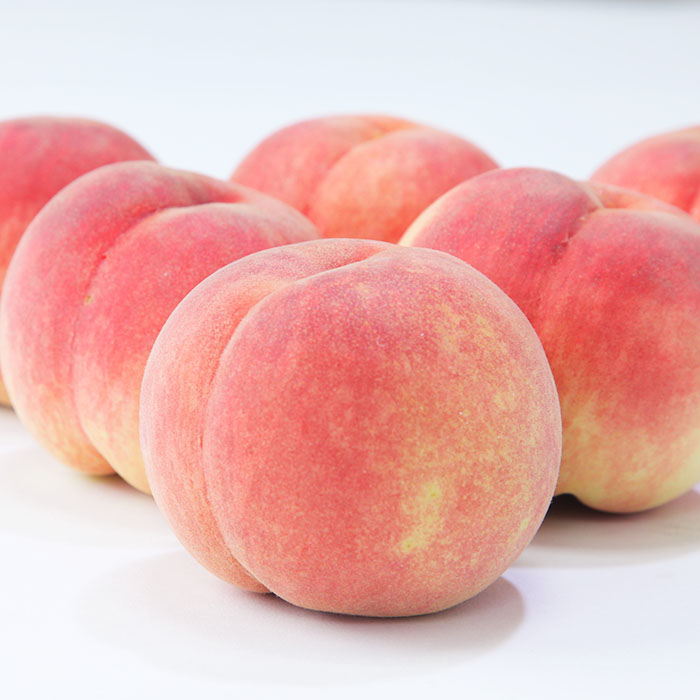 ☆フルーツ王国山形☆白桃 秀品 2kg(かたいままの桃) 【令和8年産先行予約】 FS25-672