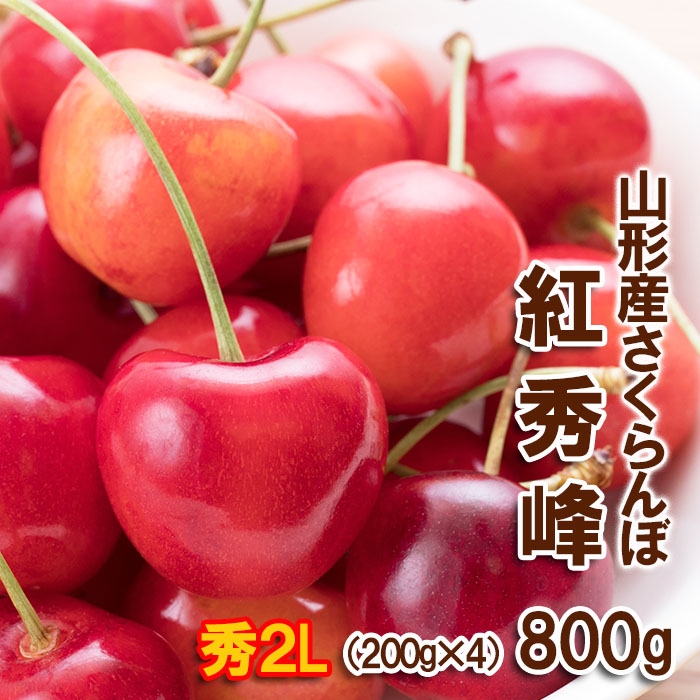 さくらんぼ 紅秀峰 "希少な大粒" 2Lサイズ 800g(200g×4パック) 【令和7年産先行予約】FU22-008