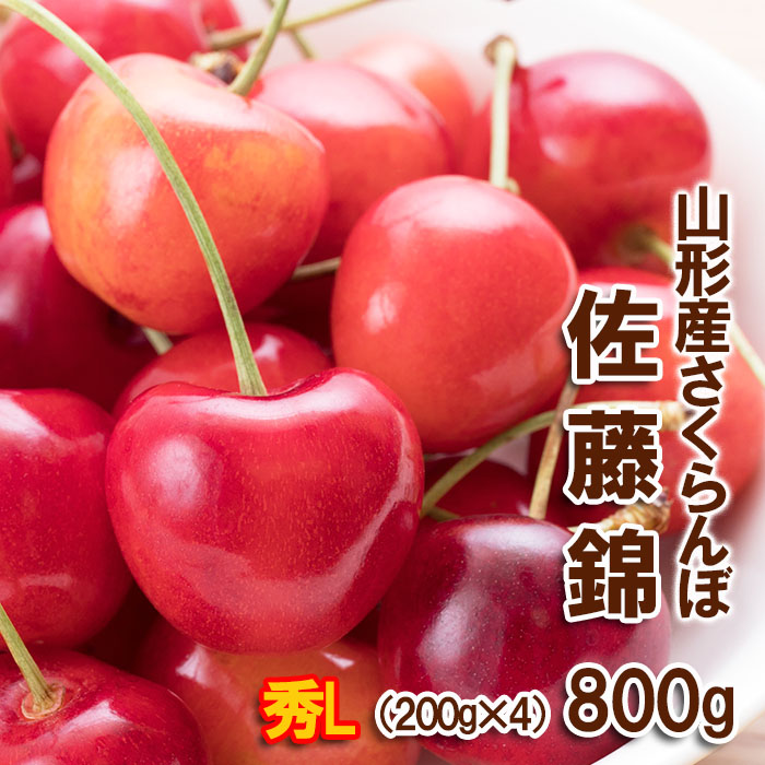 さくらんぼ 佐藤錦 Lサイズ 800g(200g×4パック) 【令和7年産先行予約】FS24-610