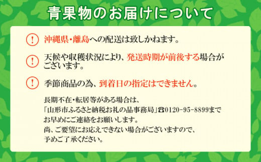 山形産 和梨(あきづき) 秀 3kg(6～12玉) 【令和6年産先行予約】FU22-010