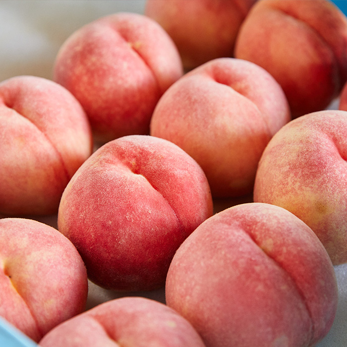 ãå®æäŸ¿5åãæ¯æå±ãïŒæç©çåœå±±åœ¢ã®ãã«ãŒã ã什å8幎ç£å
è¡äºçŽãFU22-913