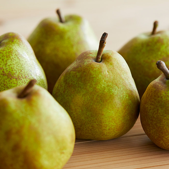 ãå®æäŸ¿5åãæ¯æå±ãïŒæç©çåœå±±åœ¢ã®ãã«ãŒã ã什å8幎ç£å
è¡äºçŽãFU22-913