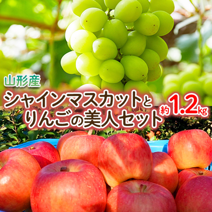 山形産　シャインマスカットとりんごの美人セット 秀品 計約1.2kg 【令和6年産先行予約】FU22-015