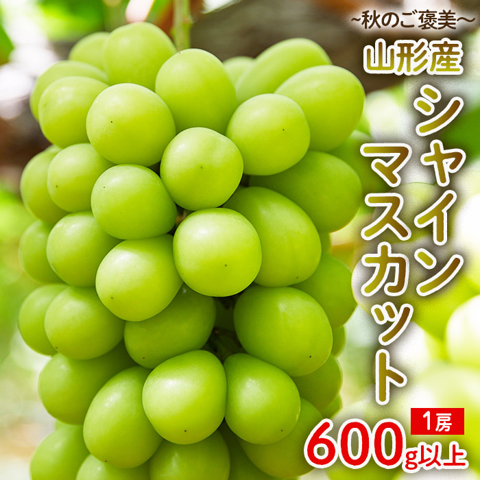 ～秋のご褒美～シャインマスカット1房 600g以上 【令和7年産先行予約】FU22-016