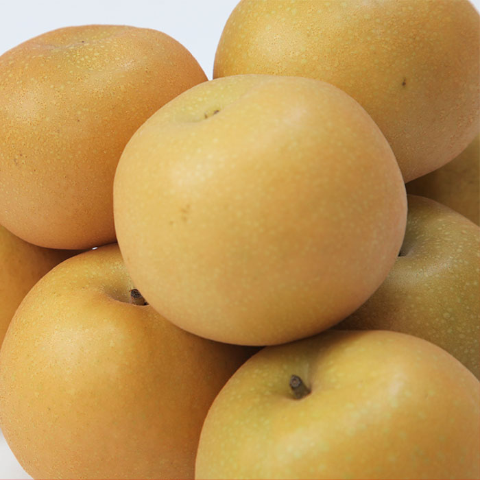 ☆フルーツ王国山形☆和梨(あきづき) 秀品 3kg【令和8年産先行予約】FU22-028