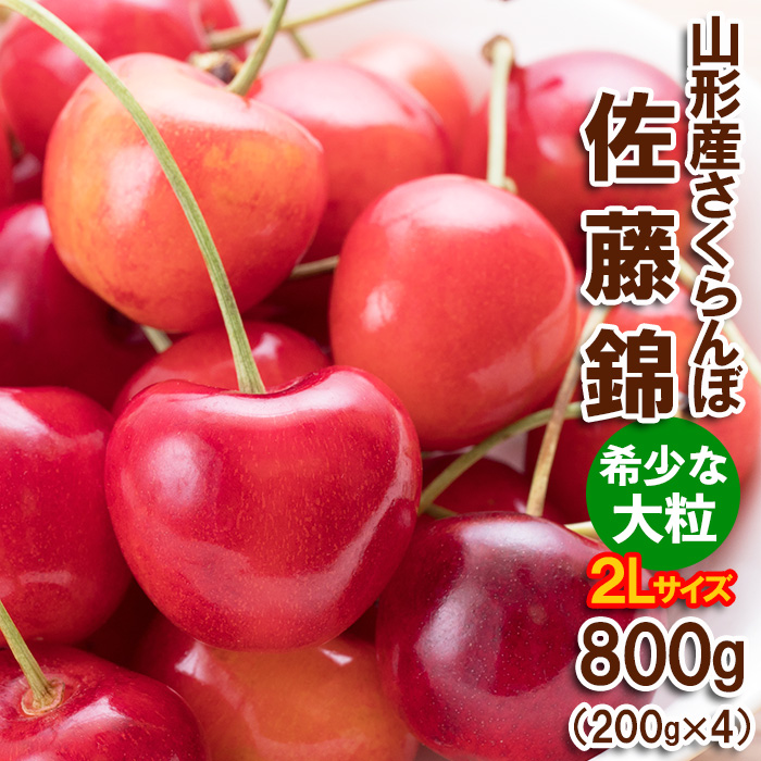 さくらんぼ 佐藤錦”希少な大粒” 2Lサイズ 800g(200g×4パック) 【令和7年産先行予約】FS24-611