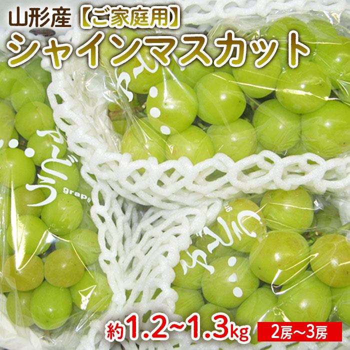 [ご家庭用]山形産 シャインマスカット 1.2kg～1.3kg(2～3房)【令和6年産先行予約】 FU22-033