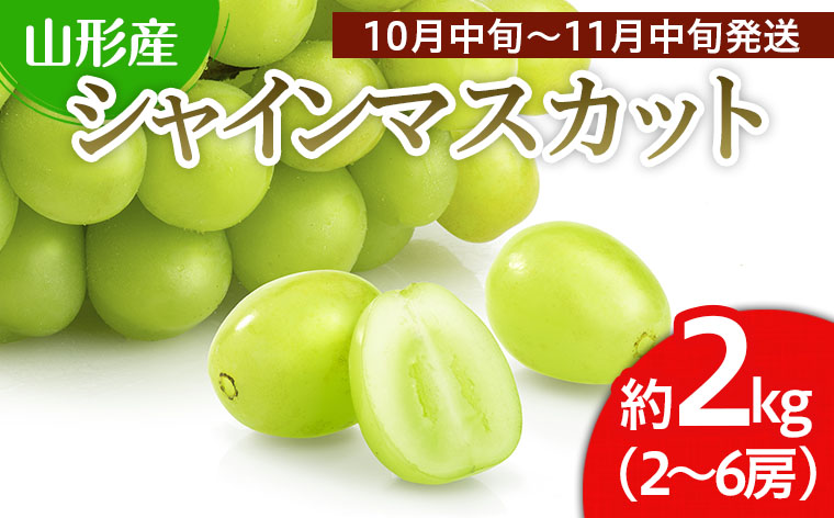 山形市産 シャインマスカット 秀 約2kg(2～6房)[後半] 【令和7年産先行予約】FS24-660