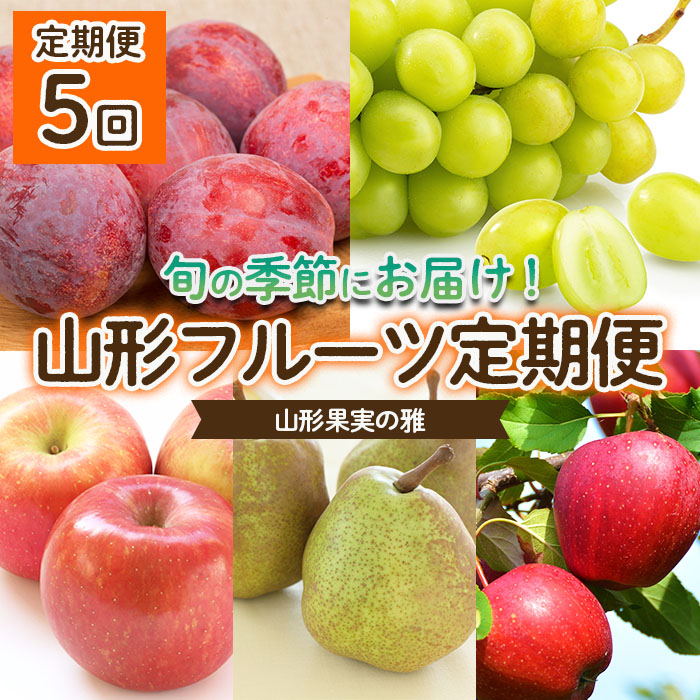 【定期便5回】山形果実の雅 【令和6年産先行予約】FU22-041