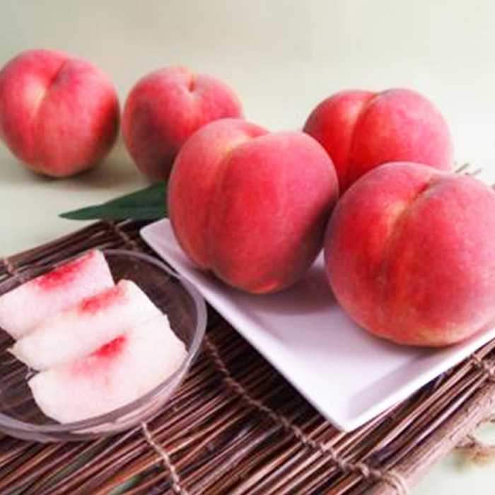 【定期便3回】山形フルーツ定期便　季節のくだものセット 【令和8年産先行予約】FS25-596