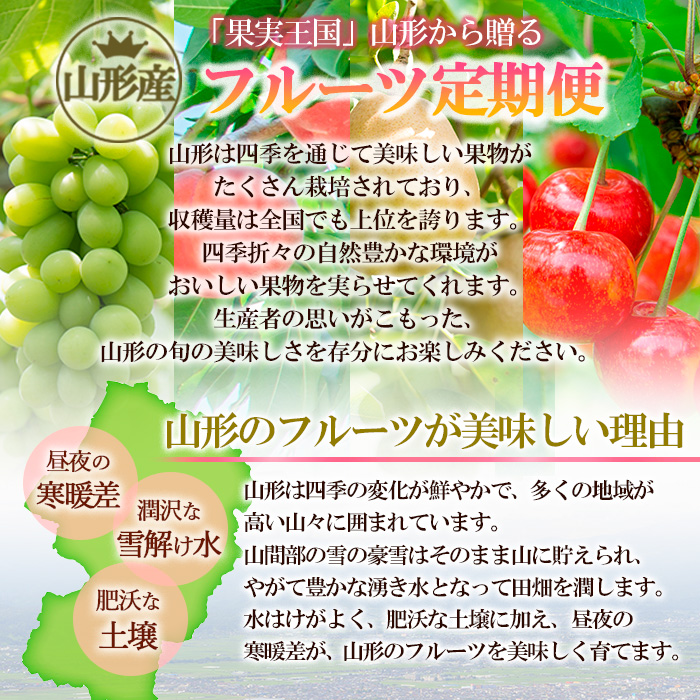 【定期便3回】山形フルーツ定期便　季節のくだものセット 【令和6年産先行予約】FU22-043