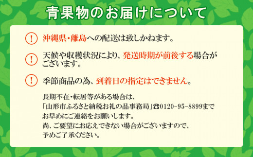 【定期便3回】山形フルーツ定期便　季節のくだものセット 【令和6年産先行予約】FU22-043