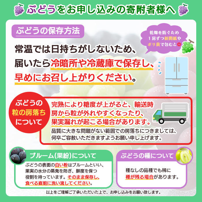 山形市産　デラウェア 2kg(10～12房) 【令和7年産先行予約】FU18-923