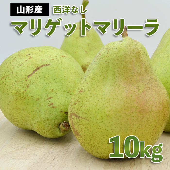 山形市産 西洋なし(マリゲットマリーラ) 秀 10kg(5kg×2) 14玉～30玉【令和8年産先行予約】FS24-585