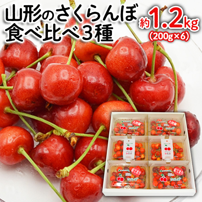 山形のさくらんぼ食べ比べ3種 1.2kg(200g×6パック)[紅秀峰・紅てまり