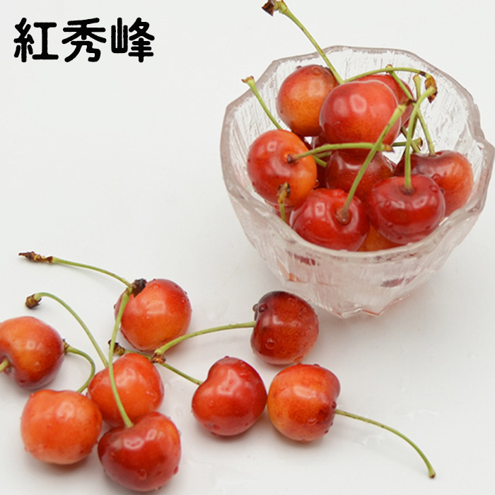 山形のさくらんぼ食べ比べ3種 1.2kg(200g×6パック)[紅秀峰・紅てまり・大将錦] 【令和7年産先行予約】FS24-559