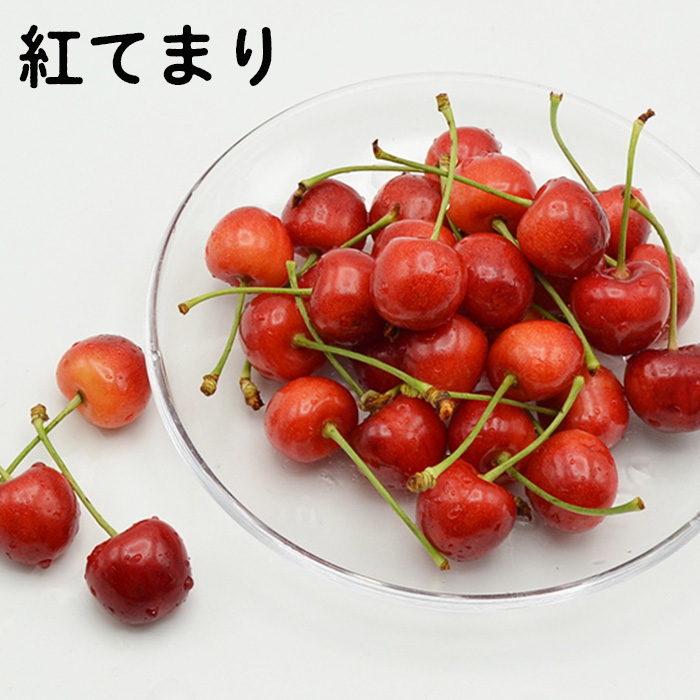 山形のさくらんぼ食べ比べ3種 1.2kg(200g×6パック)[紅秀峰・紅てまり・大将錦] 【令和7年産先行予約】FS24-559