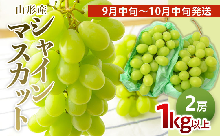 山形のぶどう シャインマスカット 1kg以上(2房)[9月中旬～10月中旬お届け] 【令和7年産先行予約】FS24-575