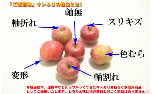 ☆フルーツ王国山形☆【家庭用】無袋サンふじりんご 10kg [1月発送]FZ22-943